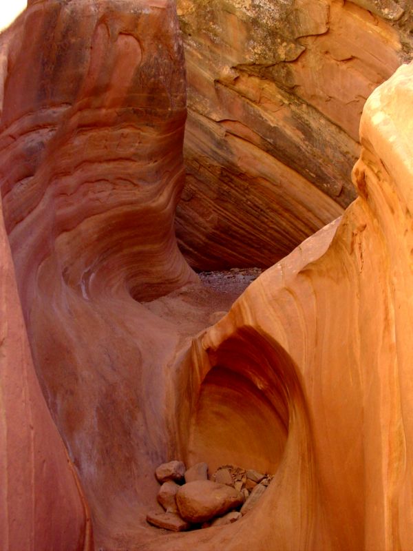 04160302LittleWildHorse (1098)